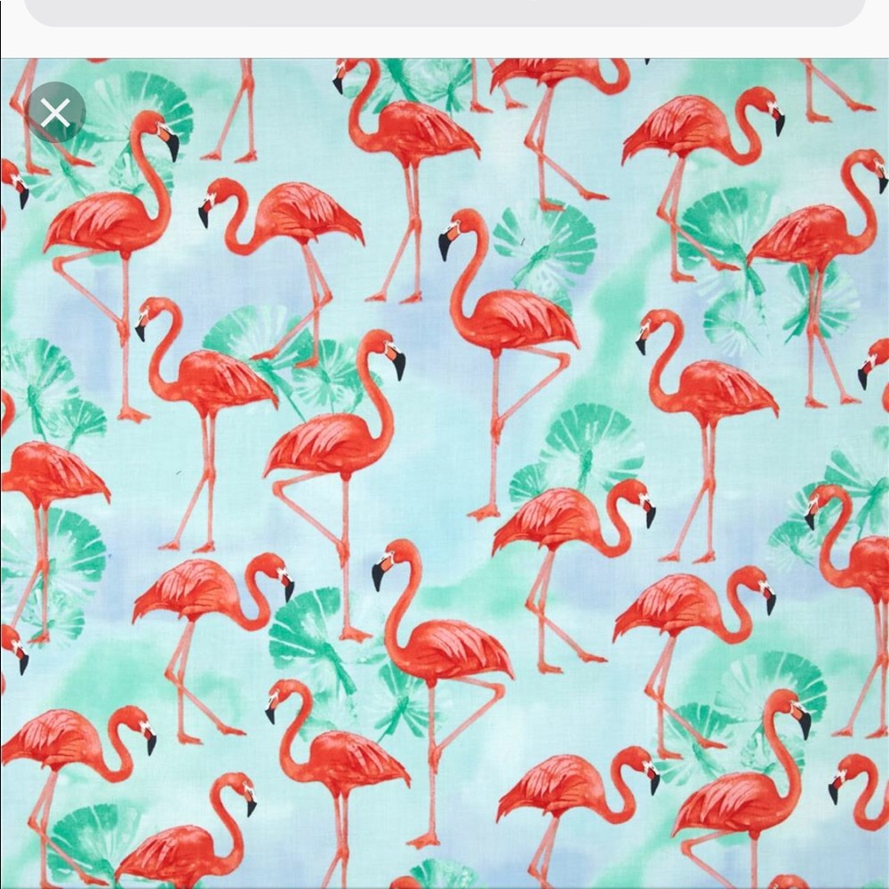 Meet your Posher, Ali